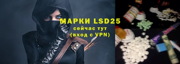 прущий лед Верея