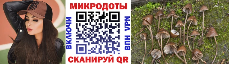 blacksprut вход  Вологда  Псилоцибиновые грибы Psilocybine cubensis 